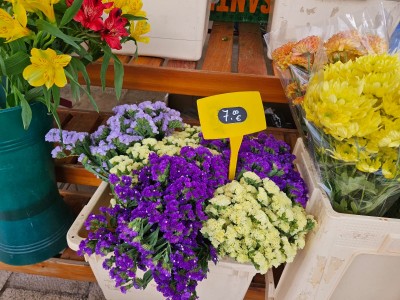 WhatsApp Image 2025-11-07 at 09.18.35 (2).jpeg